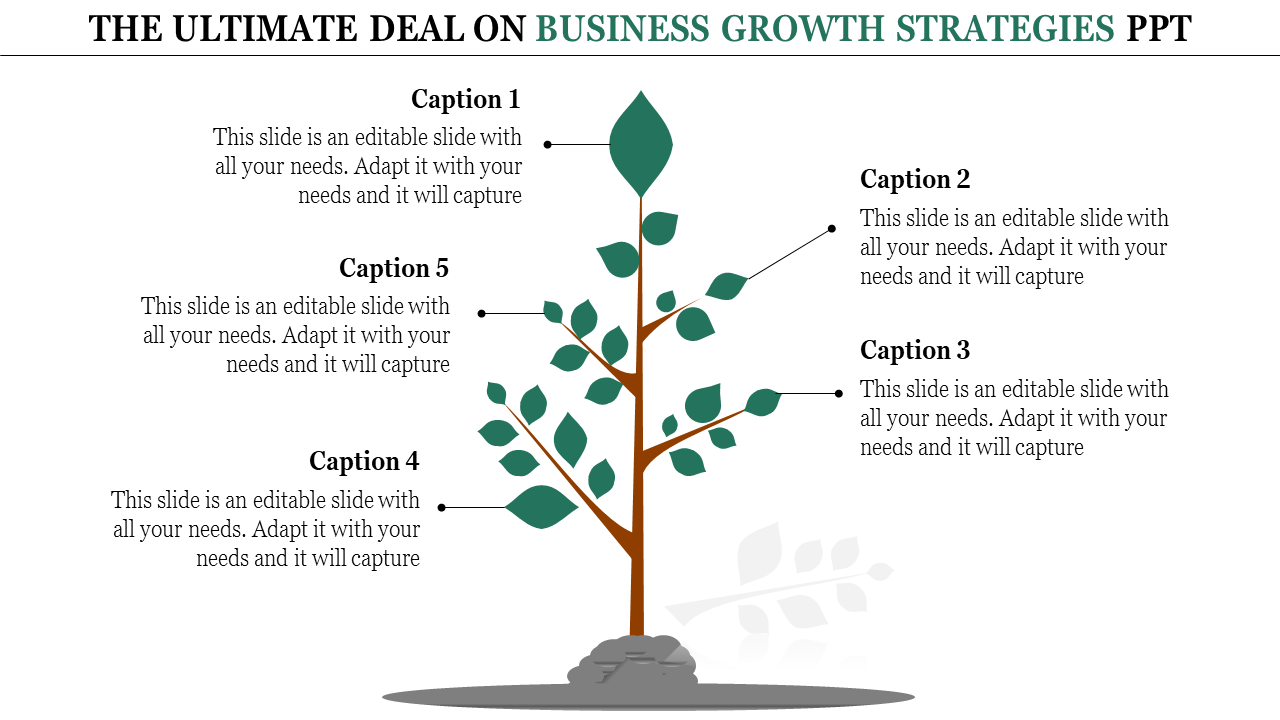 Tree diagram with five branches, each pointing to captions detailing business growth strategies.