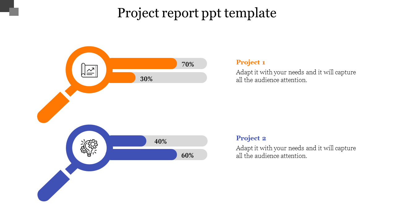 Two project progress visuals with magnifying glass icons, each showing percentage values and placeholder text.