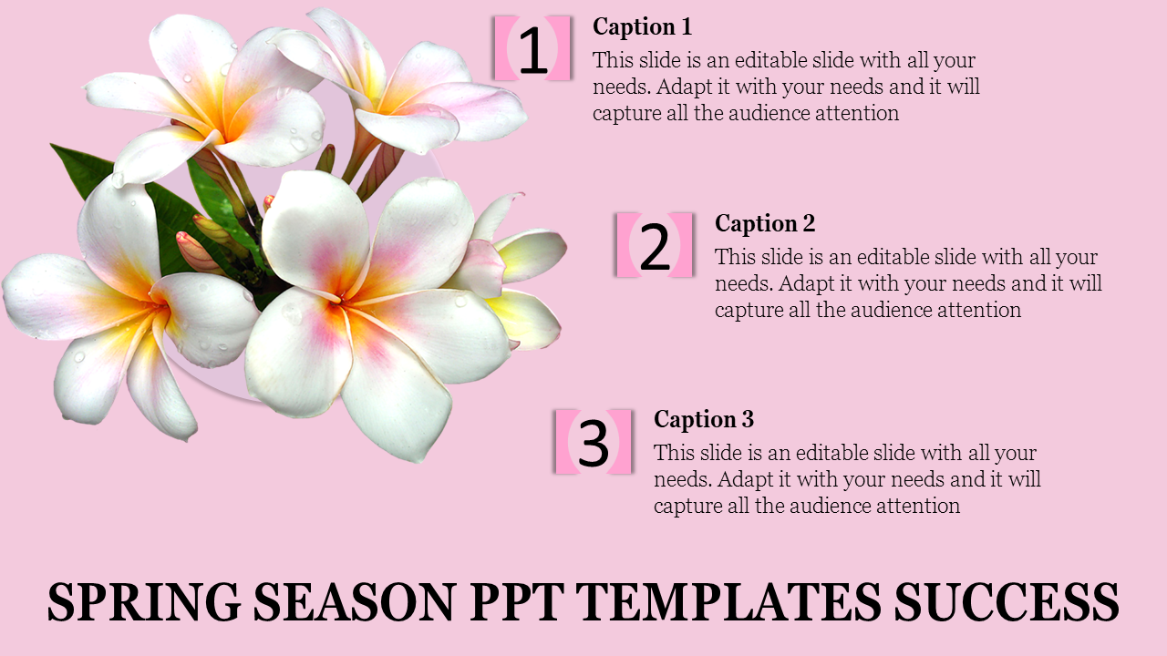 Spring themed  slide with white plumeria flowers on a pink background and three numbered captions areas.