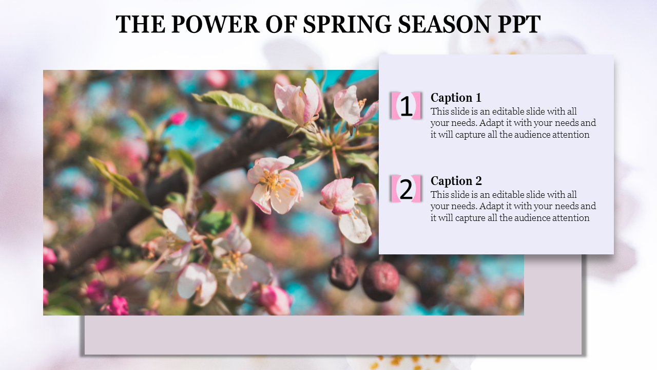 Predesigned Spring Season PPT And Google Slides Template