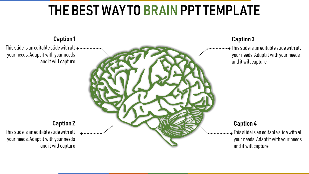 Brain illustration in green with four labeled sections connected by dotted lines, positioned in a balanced layout.