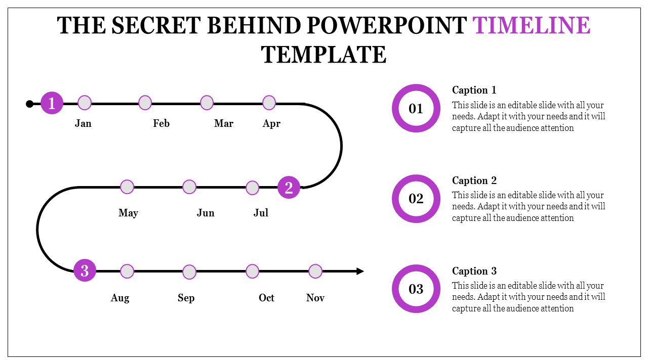 A timeline infographic slide with monthly milestones from Jan to Nov, divided into three phases with captions for each step.