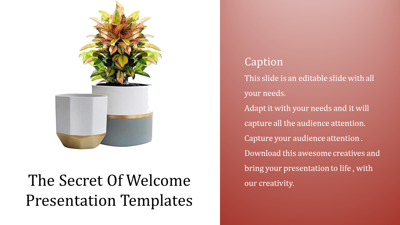 Welcome template with two modern planters, a leafy plant, and a caption area on a red gradient panel.