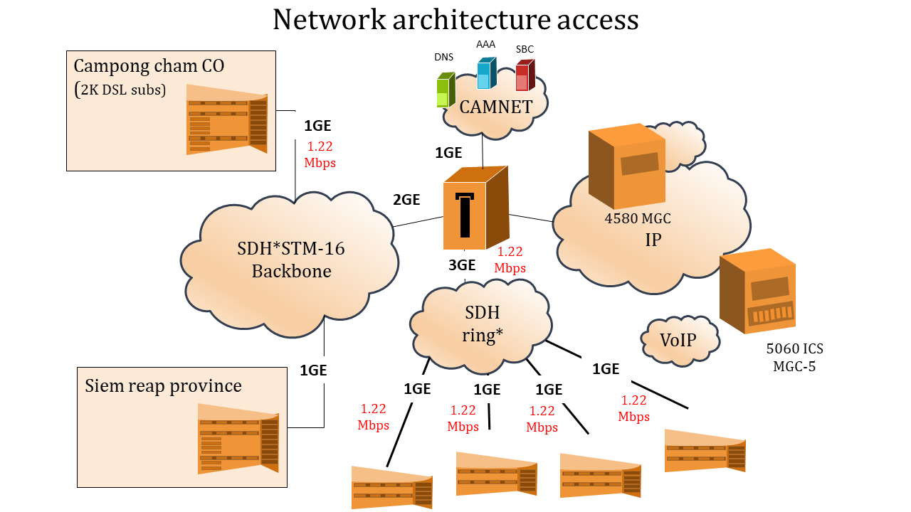 Amazing Network Architecture Access PPT And Google Slides