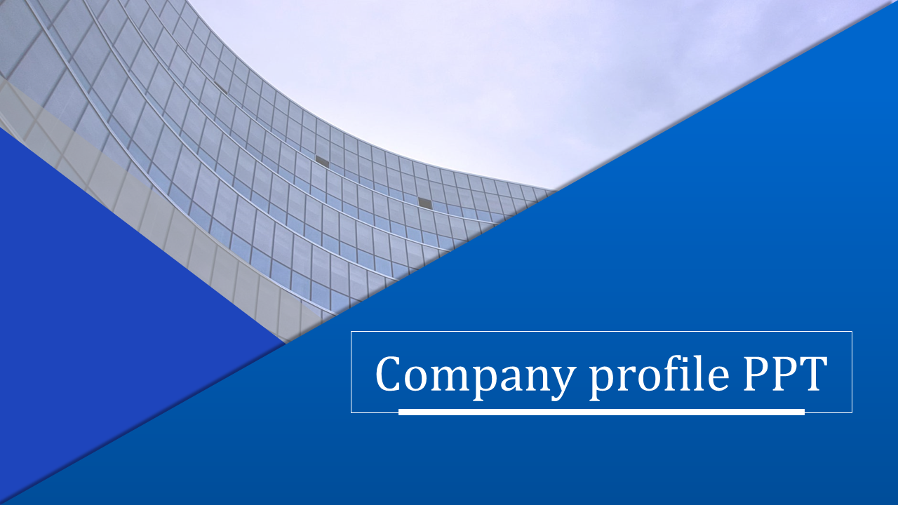 We have the Best Collection of Company Profile PPT