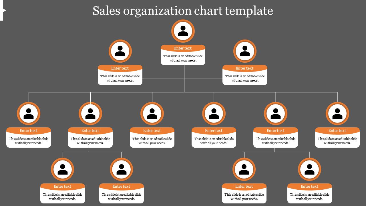 Sales organization chart slide with hierarchical structure and placeholders for text on a gray background.