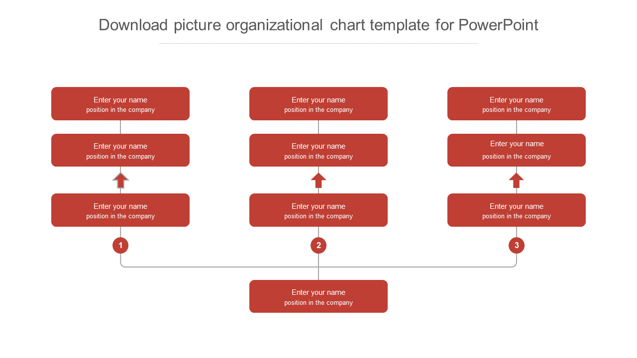 Download Picture Organizational Chart Template PowerPoint