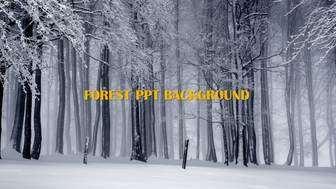 Snow-covered forest with tall, bare trees in a misty background.