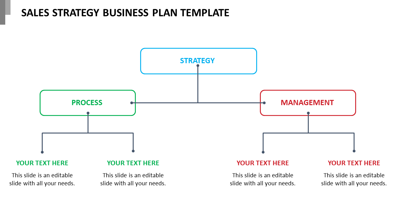 Sales Strategy Business Plan Template Slides