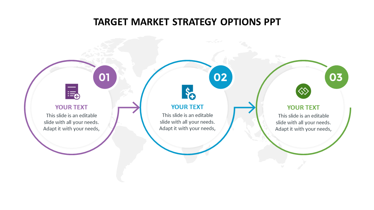 Target market strategy options slide featuring three circular sections with icons and text for each option.