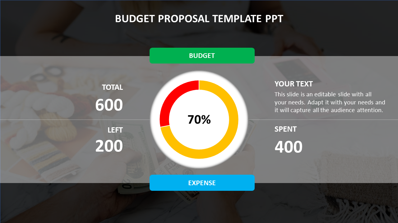 Budget proposal slide displaying total budget, expenses, and remaining funds with a progress gauge indicating percentage.