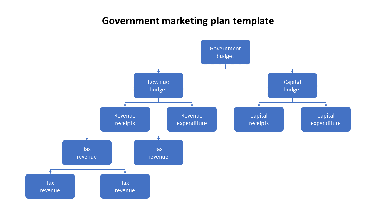 Government marketing plan template featuring a blue hierarchical flowchart for budget allocation and revenue sources.