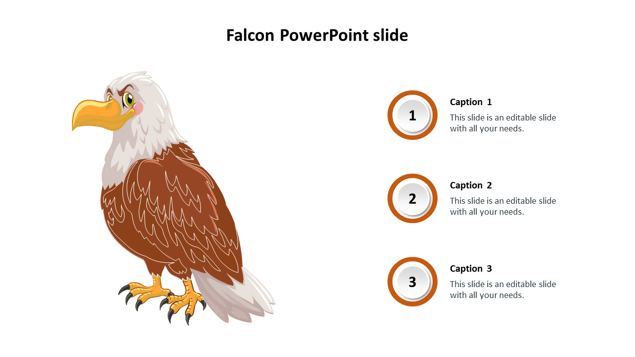 Illustrated brown falcon on the left with three numbered captions in circular orange frames on the right.