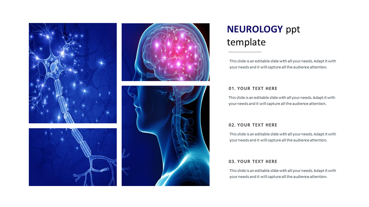 Neurology-themed slide template featuring scientific imagery of neurons and the brain, with designated areas.