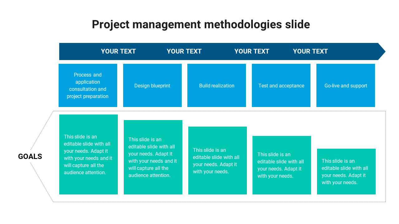 Horizontal layout with blue and teal boxes for project management phases, including steps and goals, on a white background.