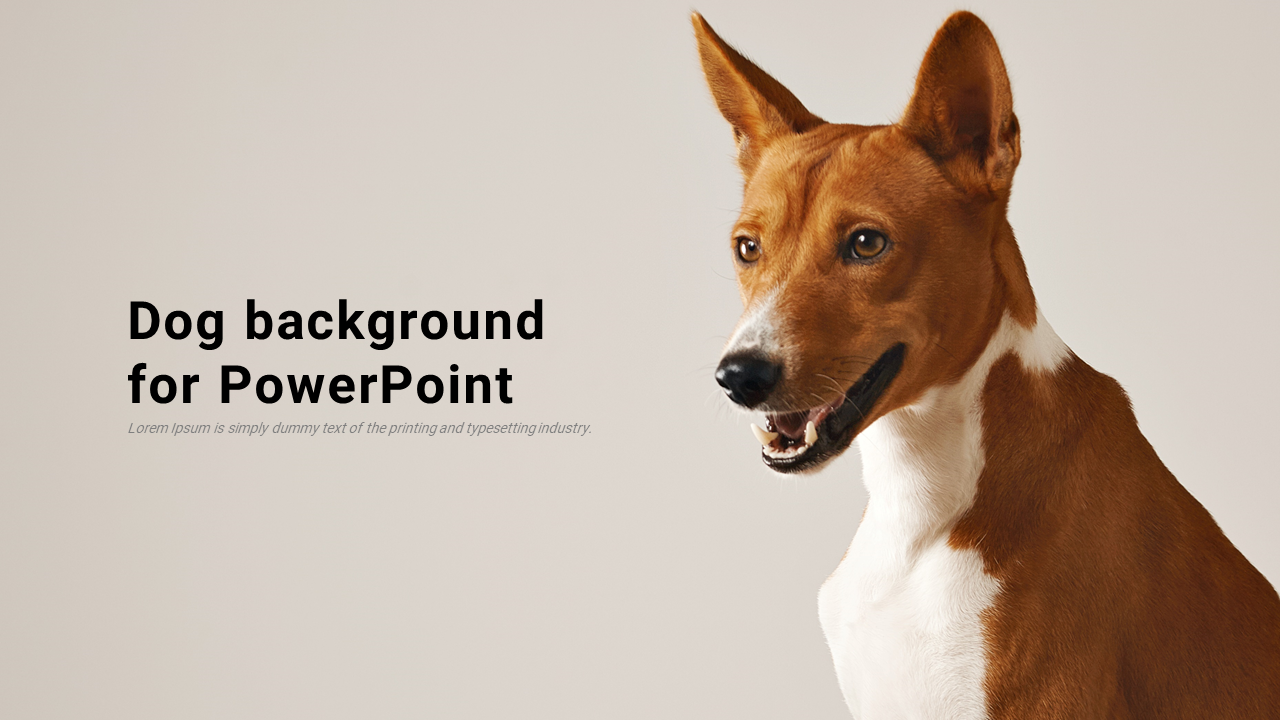 A brown and white dog facing right, set against a light beige background with black text on the left.