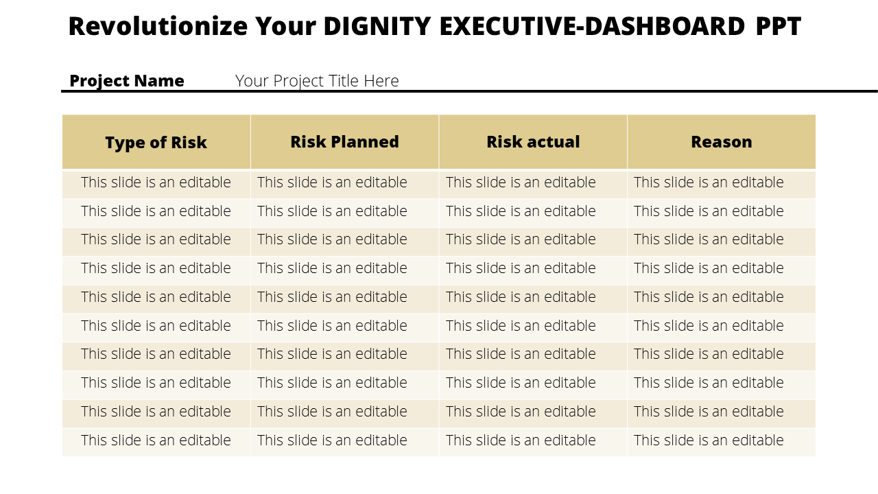 Project risk assessment executive dashboard with four columns and multiple rows, all labeled as placeholder text.