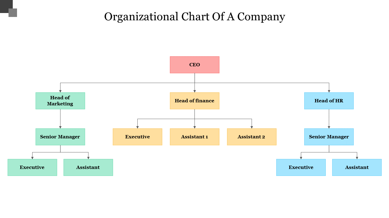 Editable Organizational Chart Of A Company PowerPoint Template