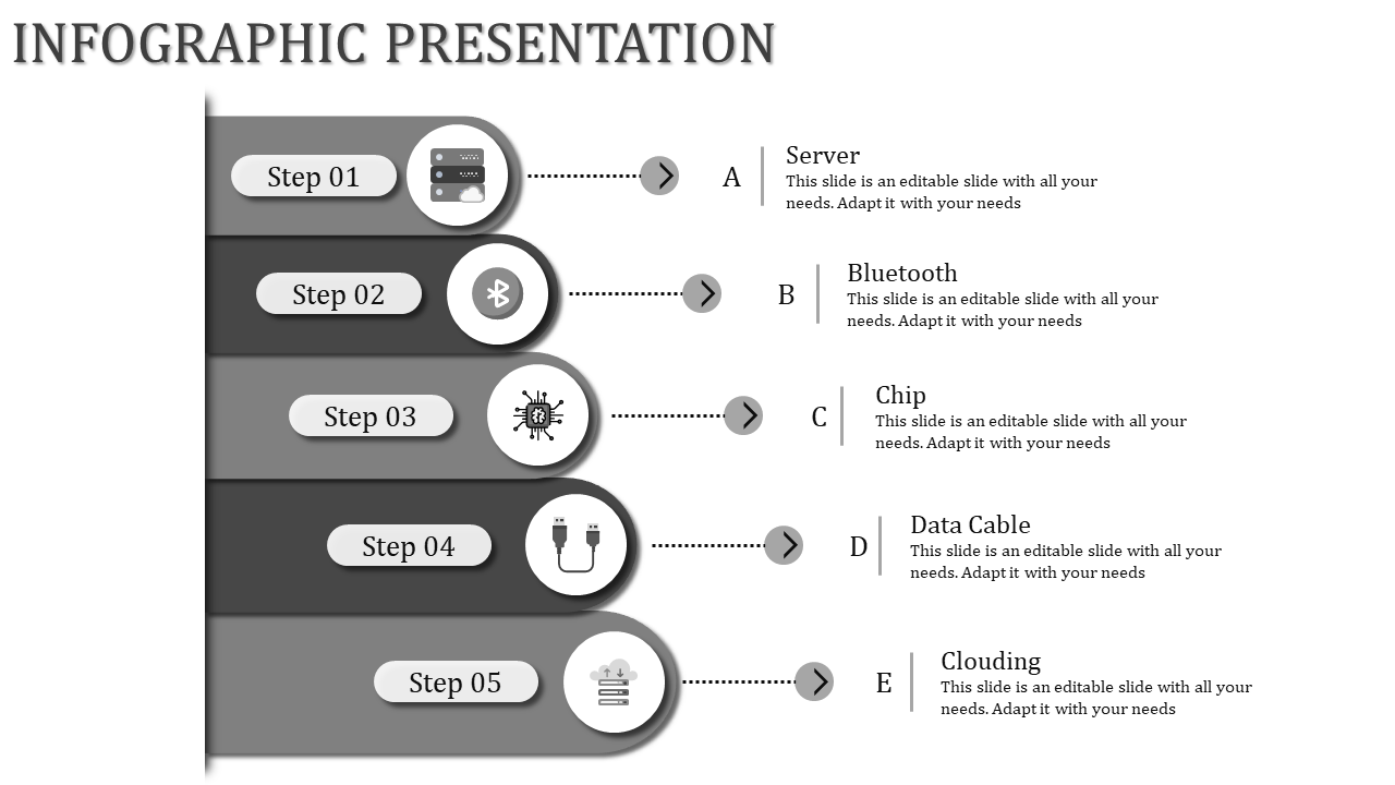 Professional Infographic Presentation for Clear Data