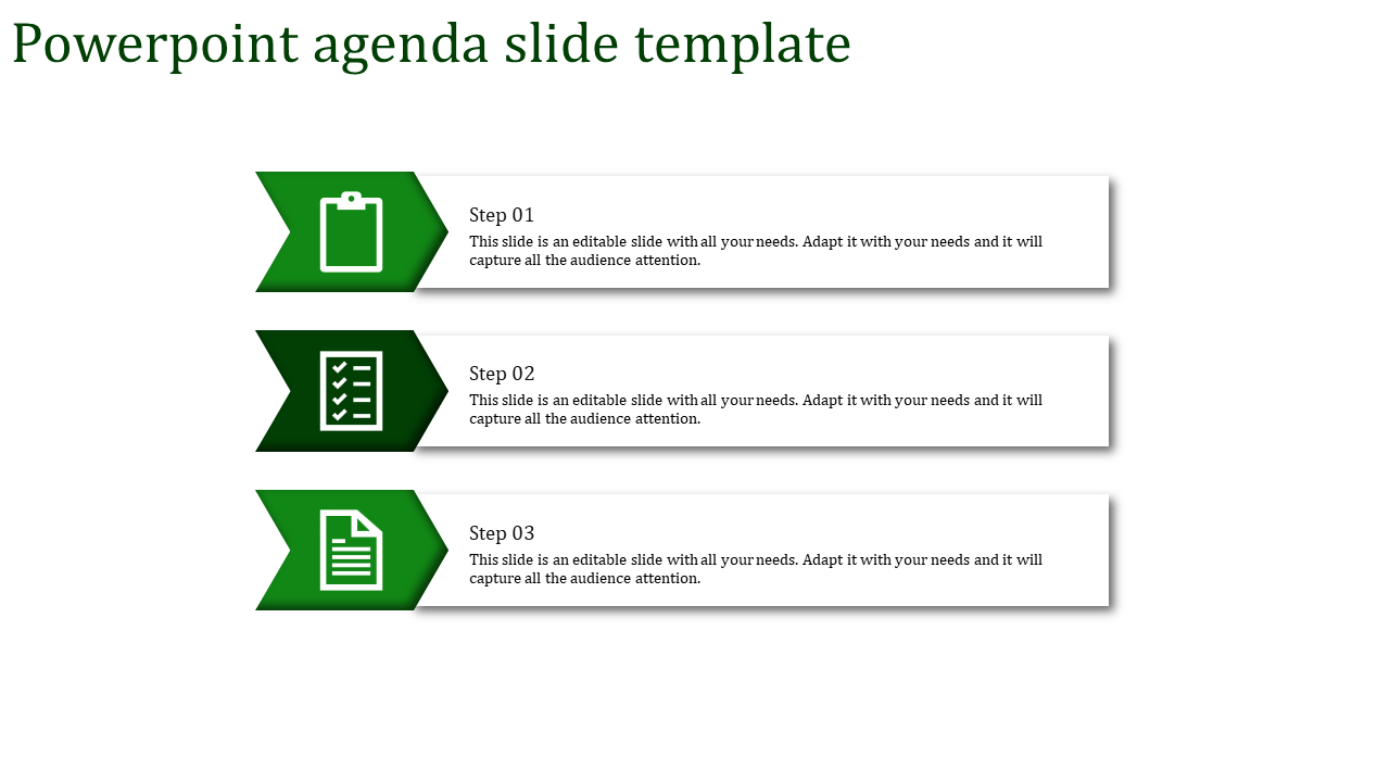 Green agenda slide with three sequential steps, each featuring a white icon and descriptive text.