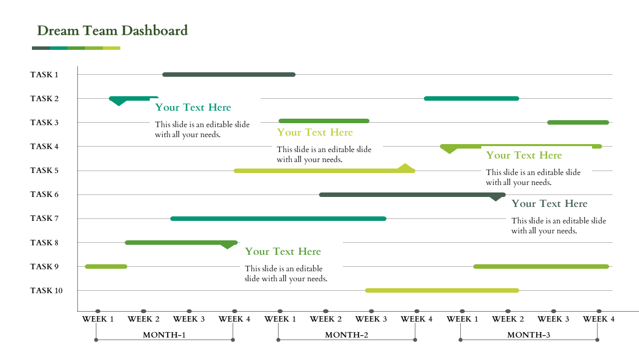 Business team dashboard slide showcasing task progress across weeks and months with placeholders for project details.