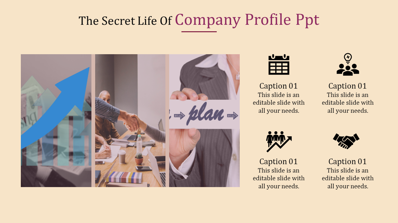 Predesigned Company Profile PPT And Google Slides