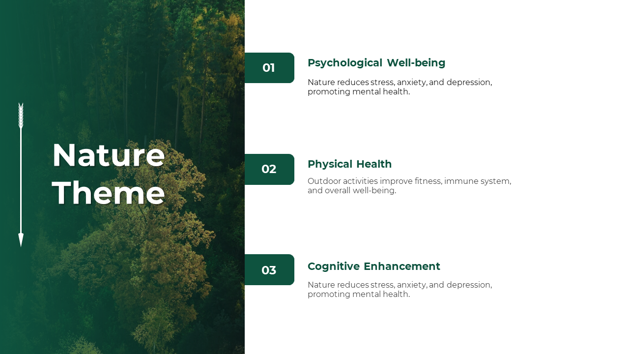 Green background with forest imagery on the left and three numbered text boxes aligned vertically on the right white section.