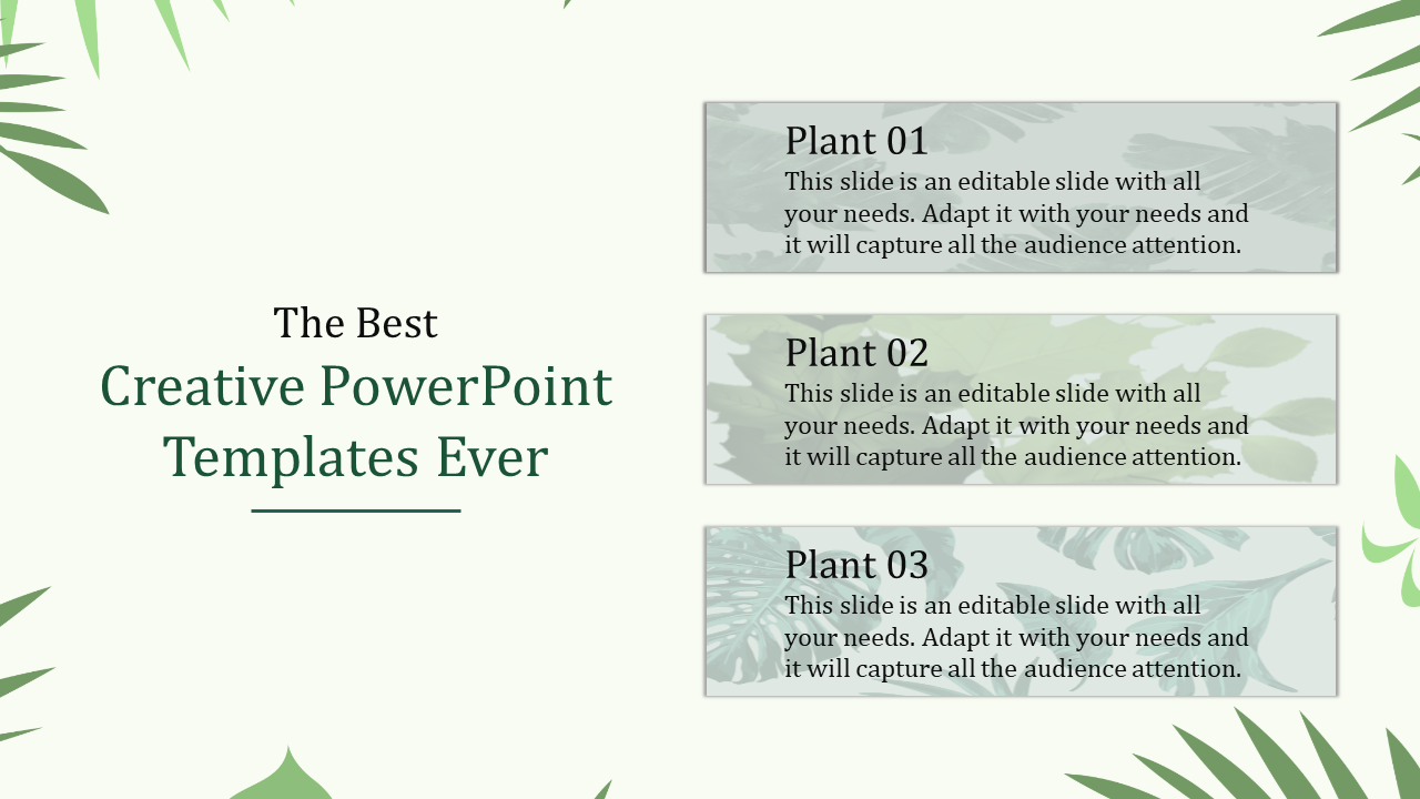 Creative slide featuring three plant themed text boxes on a light green background with leaf accents.