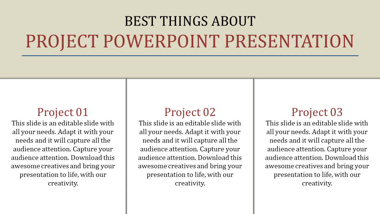 Elegant Project PPT And Google Slides Presentation