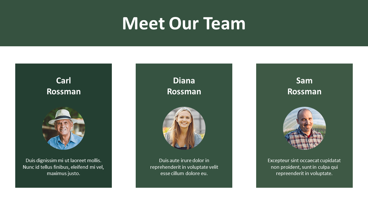 Team introduction slide showing three individuals in circular frames, with names and placeholder text, all on green blocks.