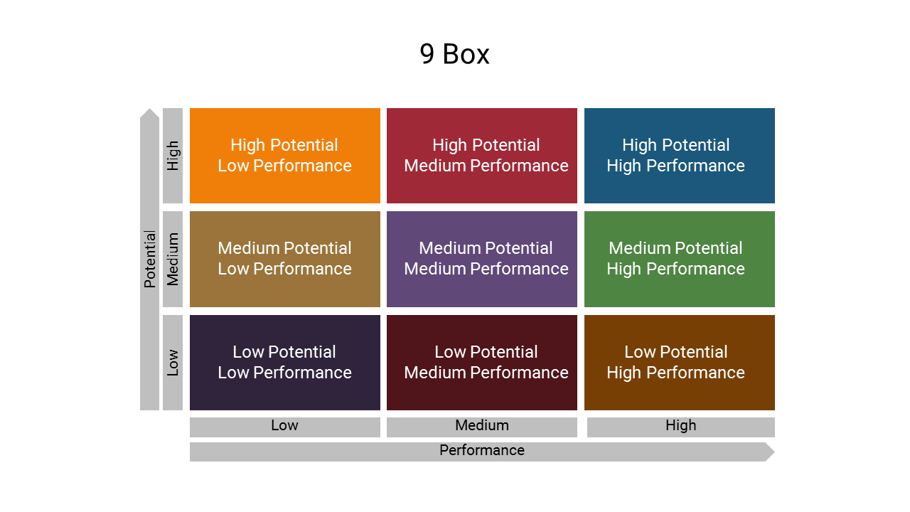 A 9 box matrix with three rows for potential and columns for performance, with color coded categories.