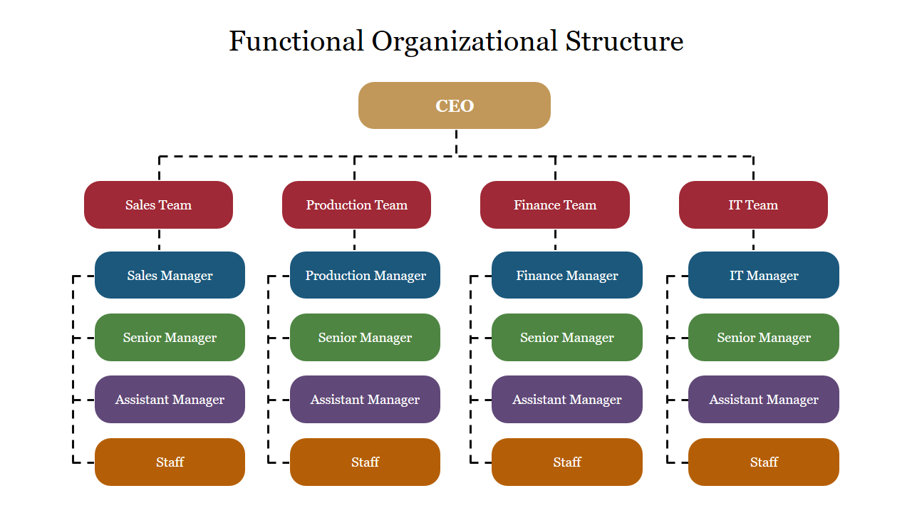 Functional organizational structure slide showing teams divided into sales, production, finance, and IT, each led by the CEO.