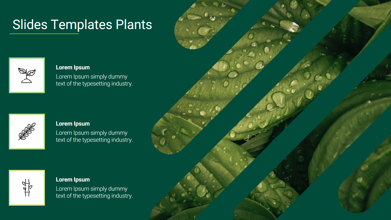 Slide featuring three plant-related icons with placeholder text on the left and green leaf image strips on the right.