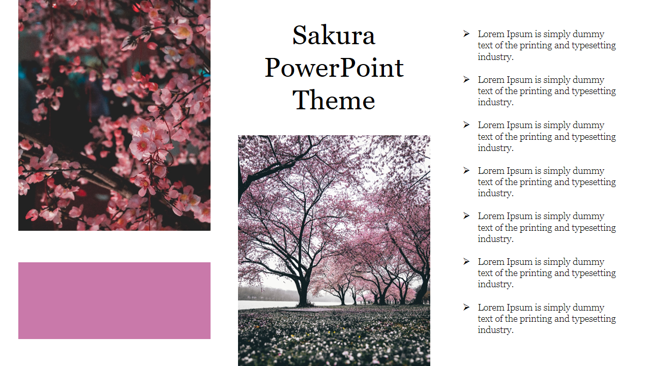 Sakura themed slide with cherry blossom images, text bullets on the right, and a pink color block for accent.