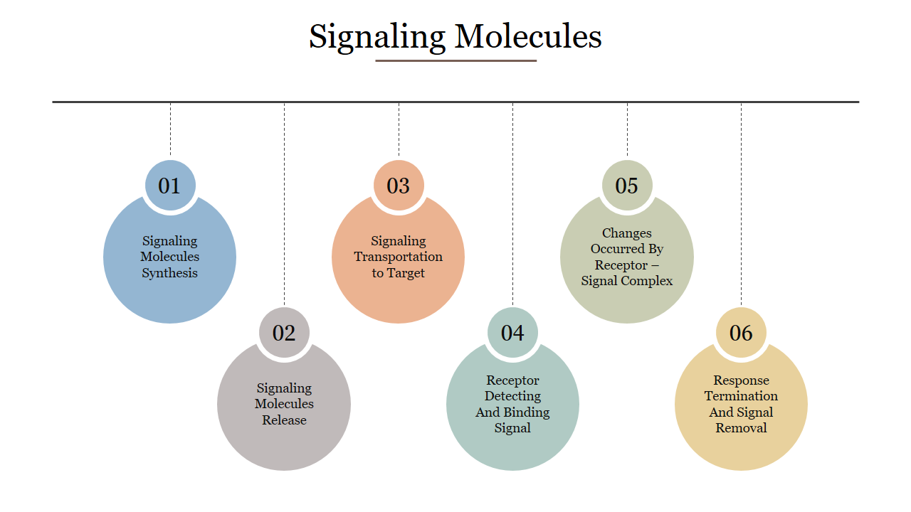 Creative Signaling Molecules PowerPoint Template Slide