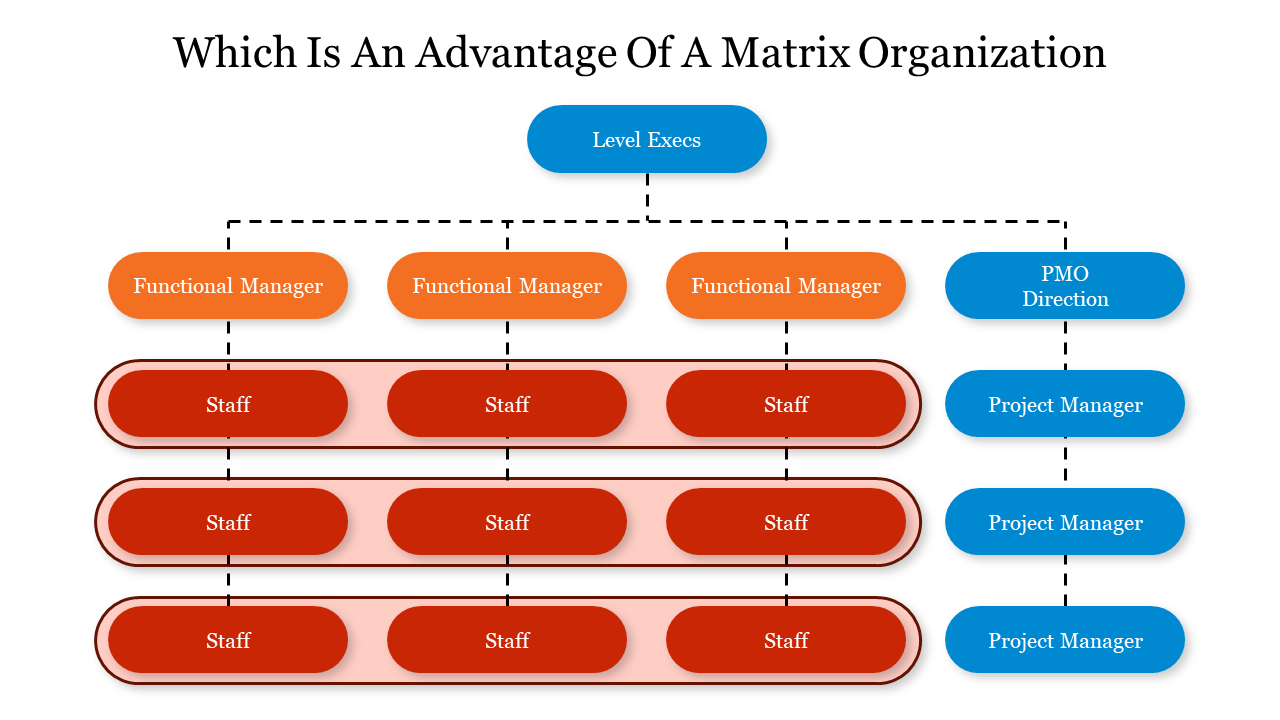 Colorful organizational chart slide illustrating a matrix structure with functional managers, staff, and project managers.