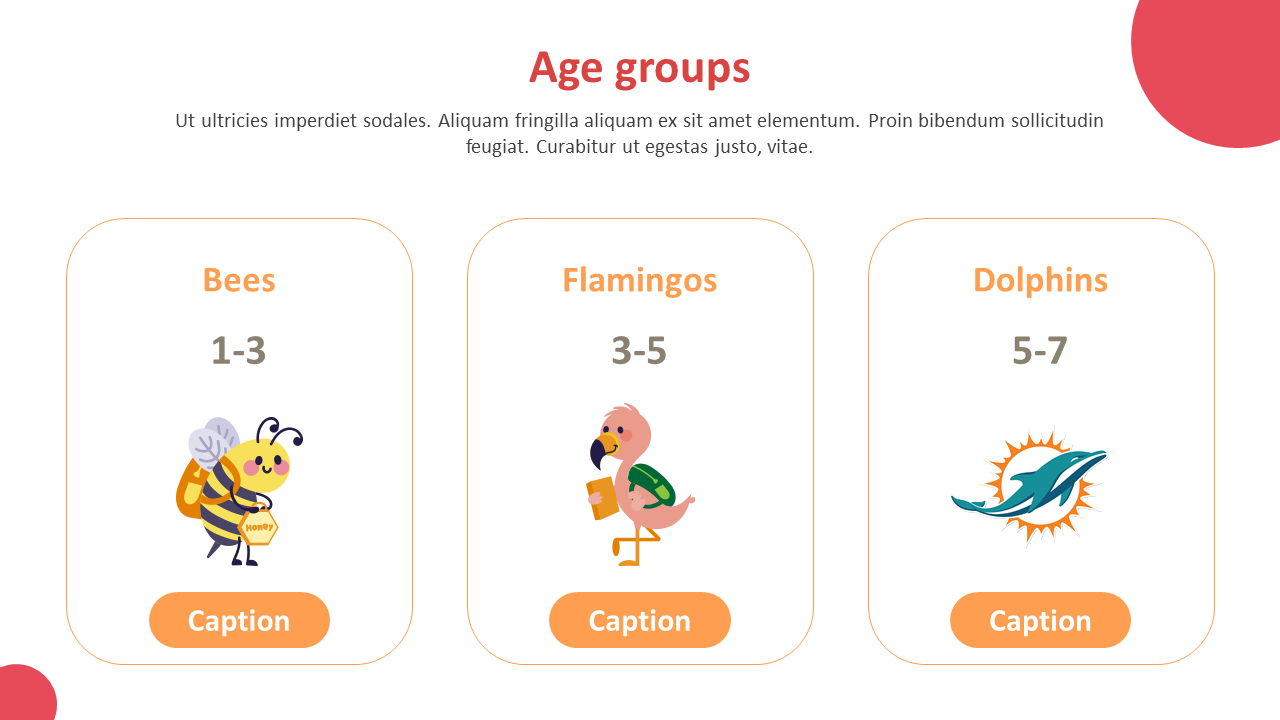 Slide showcasing age groups for kindergarten, featuring illustrations of bees, flamingos, and dolphins with captions.