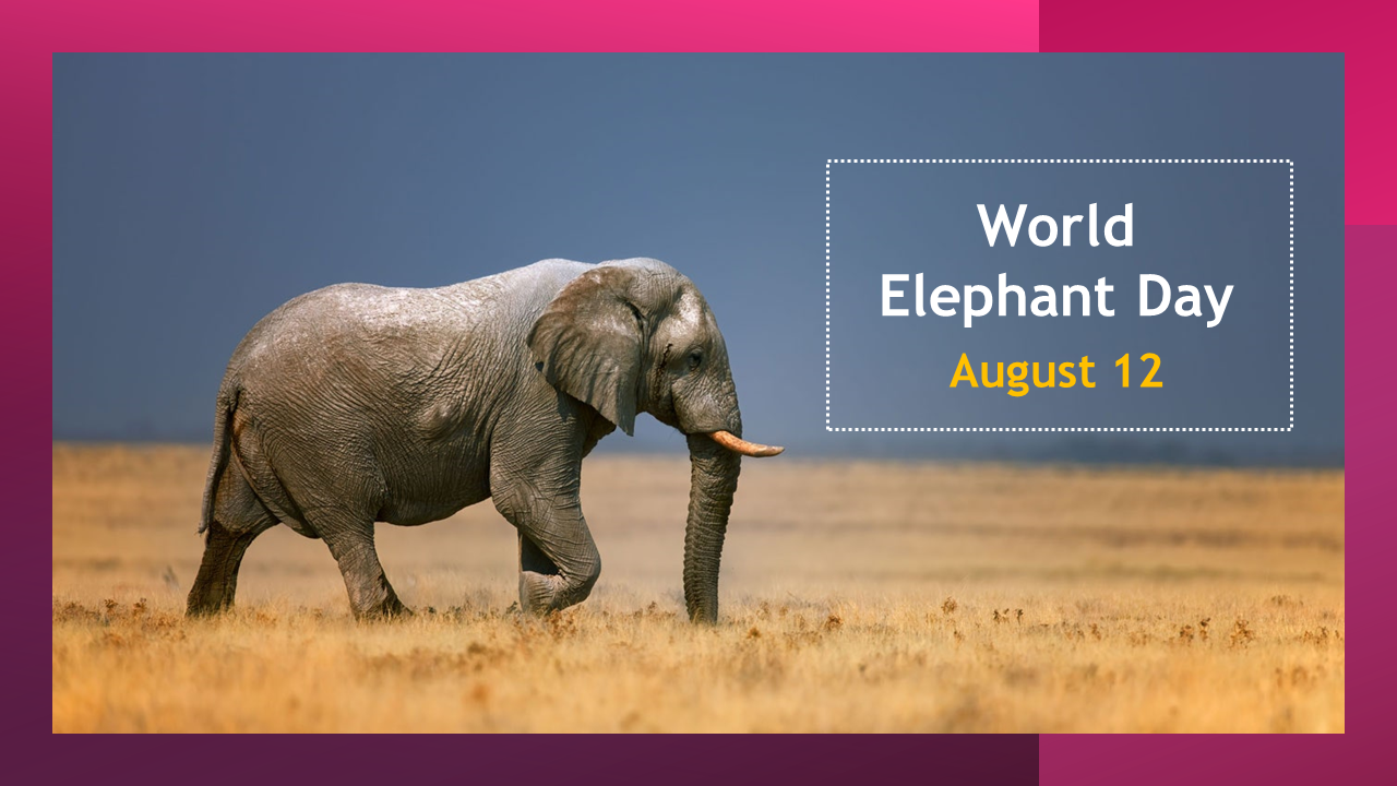 Elephant in a dry savannah landscape with a text box on the right reading world elephant day, August 12.