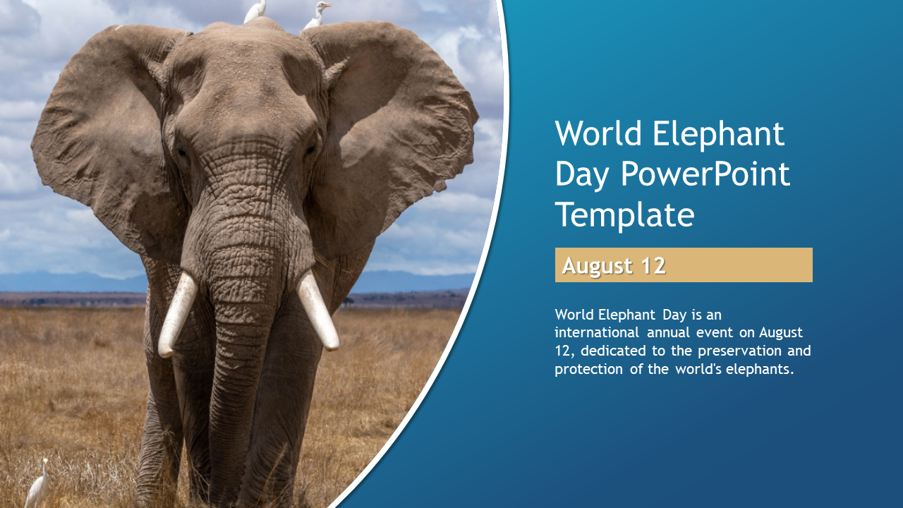 World Elephant day slide featuring an elephant image and details about the event on August 12 promoting conservation efforts.