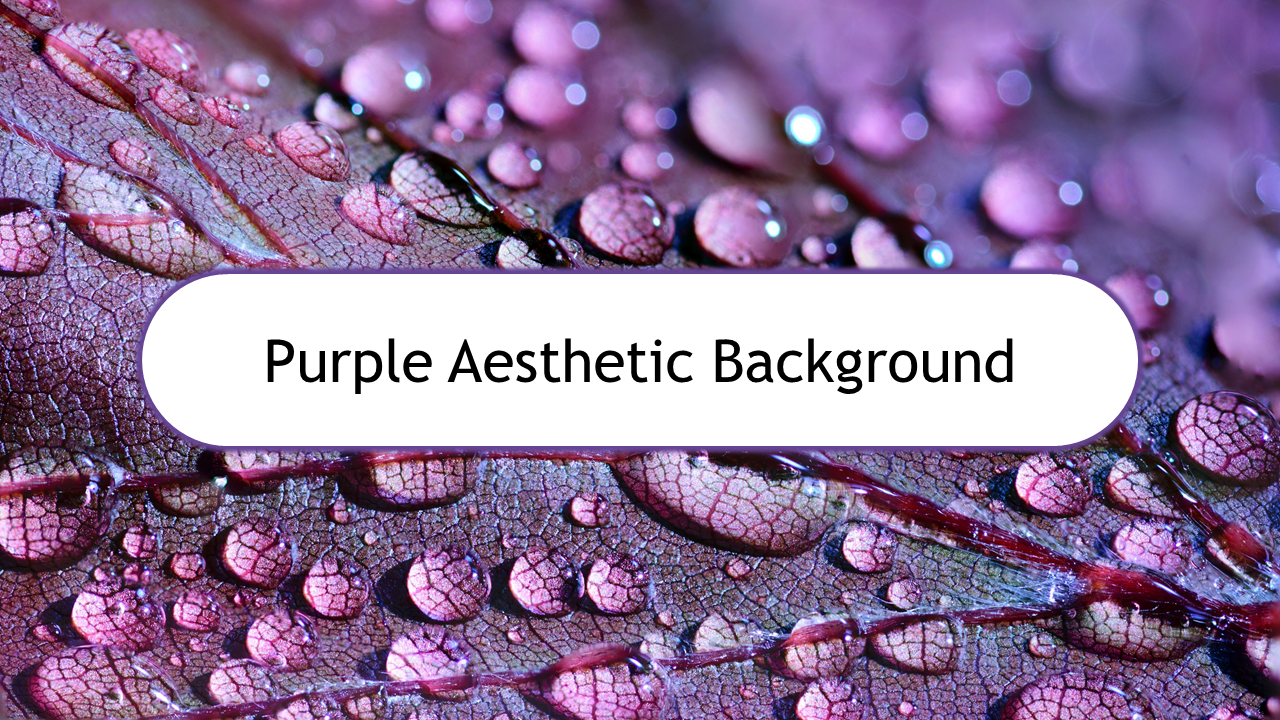 Creative Purple Aesthetic Background For Presentation