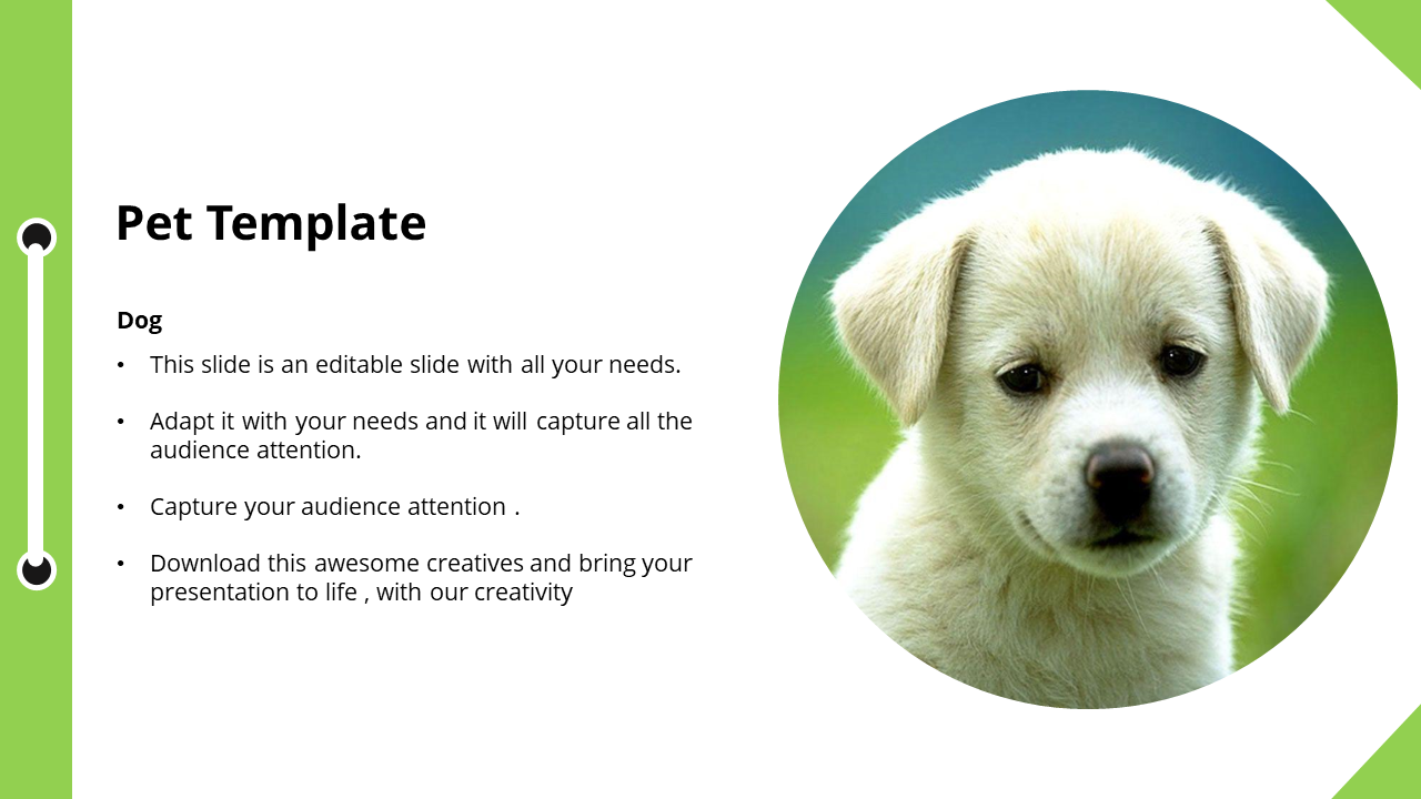 Image of a pet white puppy with a text box on the left titled  explaining the editable features of the slide.