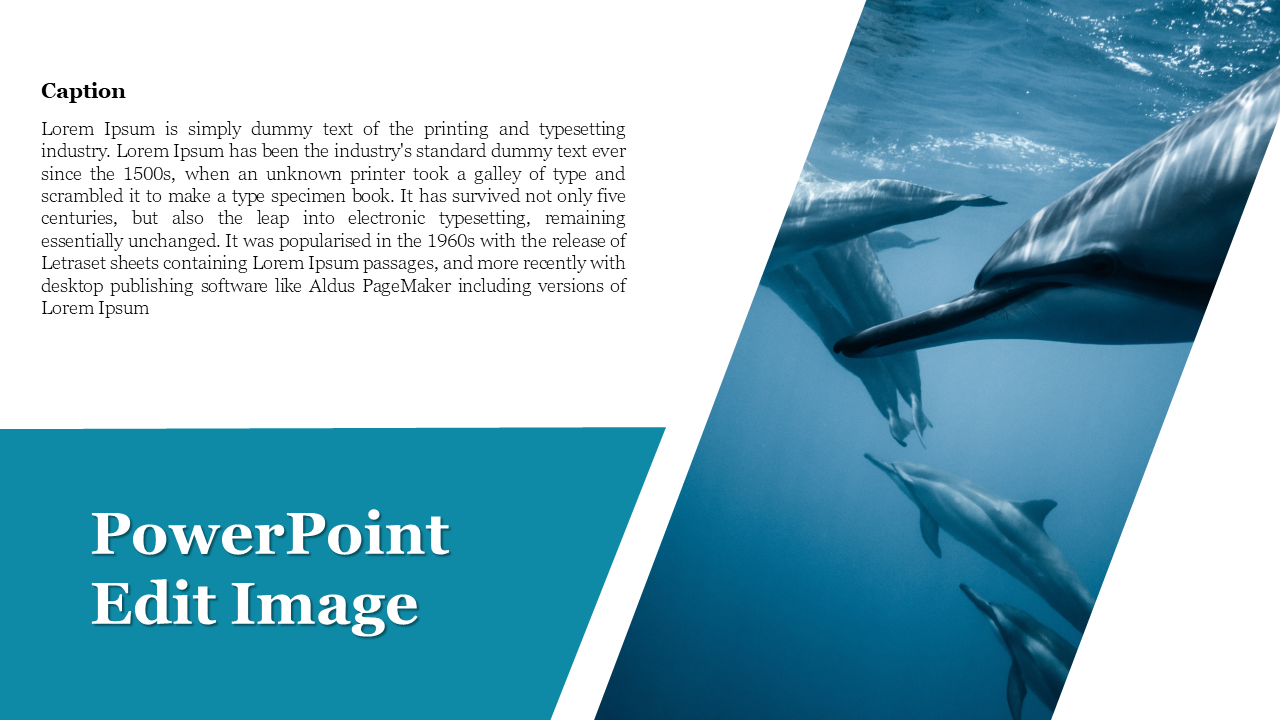 PowerPoint slide with an image of dolphins swimming underwater and placeholder text on a white backdrop.