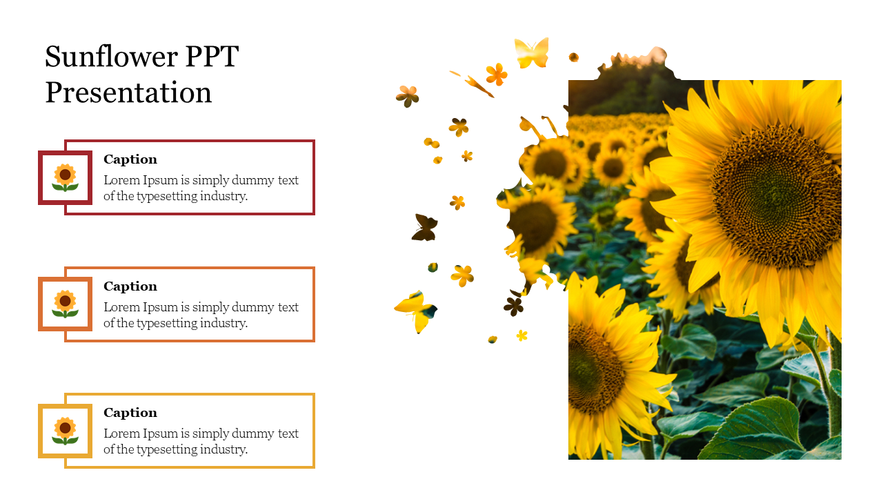 Sunflower field image with butterflies and three caption boxes with icons on the left.