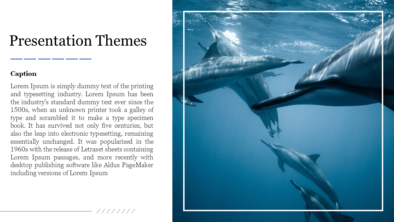 PowerPoint presentation theme template with dolphins swimming underwater, framed by a simple border with a caption.