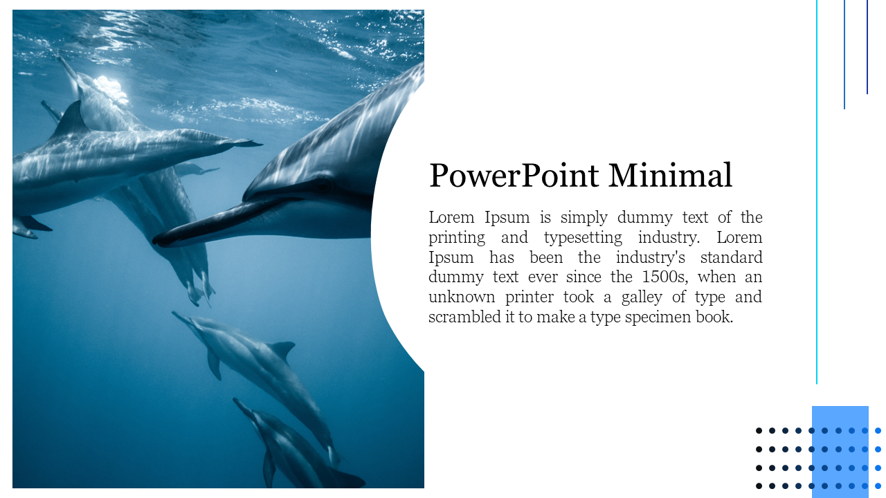 Dolphins swimming in a clear blue underwater scene, paired with a minimal white text section on the right.