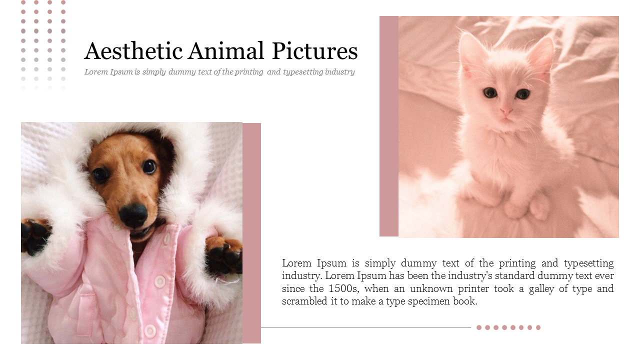 Layout with aesthetic animal photos, showing a cozy dog in a pink coat and a fluffy white kitten with soft backgrounds.