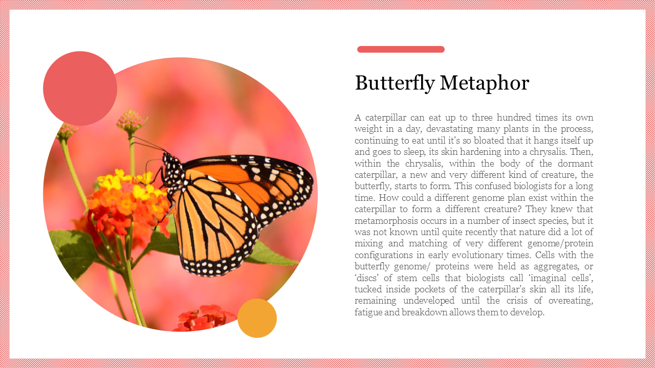 Image of a butterfly on a flower within a circular frame, accompanied by text on the right about the butterfly metaphor.