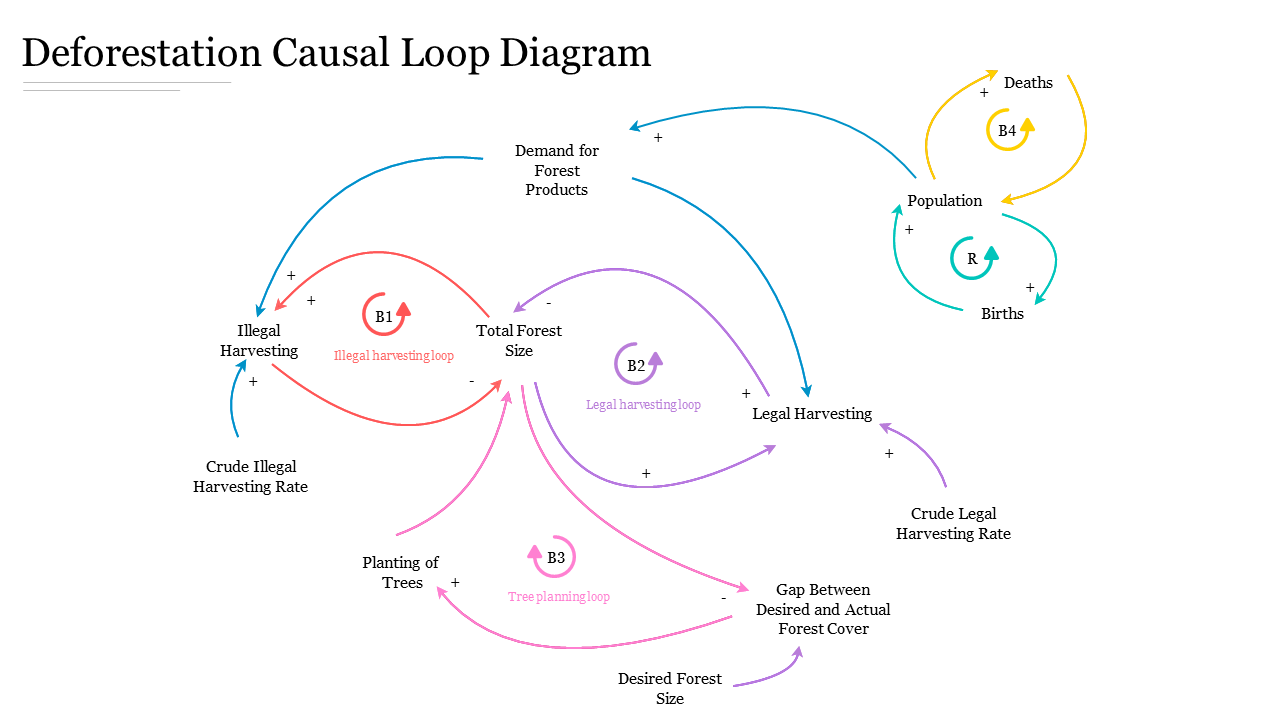 A causal loop diagram showing the interrelations between deforestation, population, harvesting, and forest size.