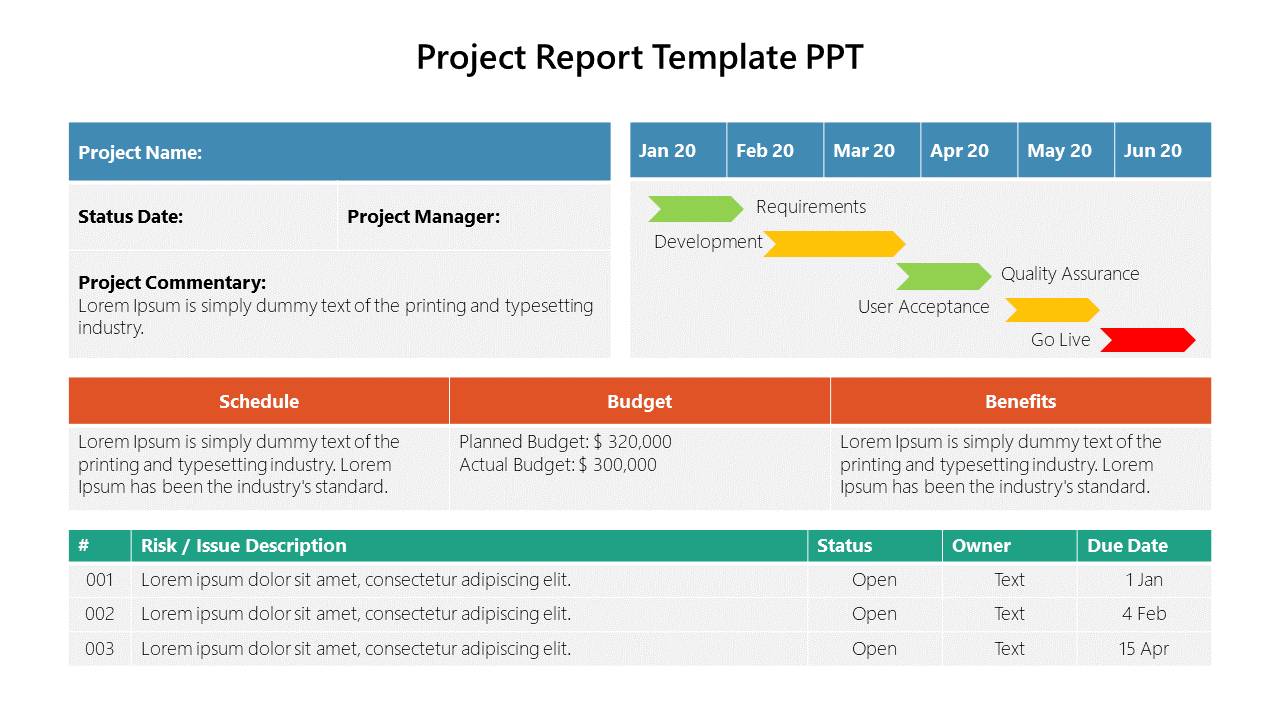 Detailed project report slide showing a timeline for development phases, budget, schedule, benefits, and a risk issue table.