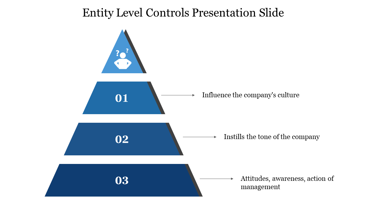 Triangular diagram divided into three levels, showcasing organizational control concepts with detailed captions.